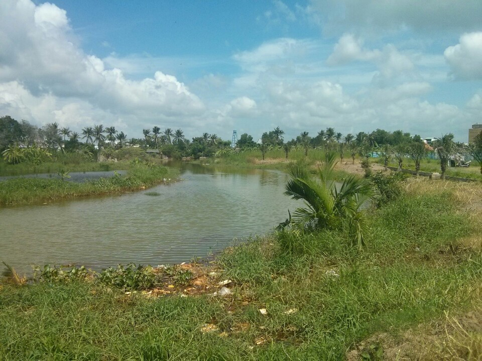 Hết tỉnh táo nổi với buổi mua đất dự án qua môi giới